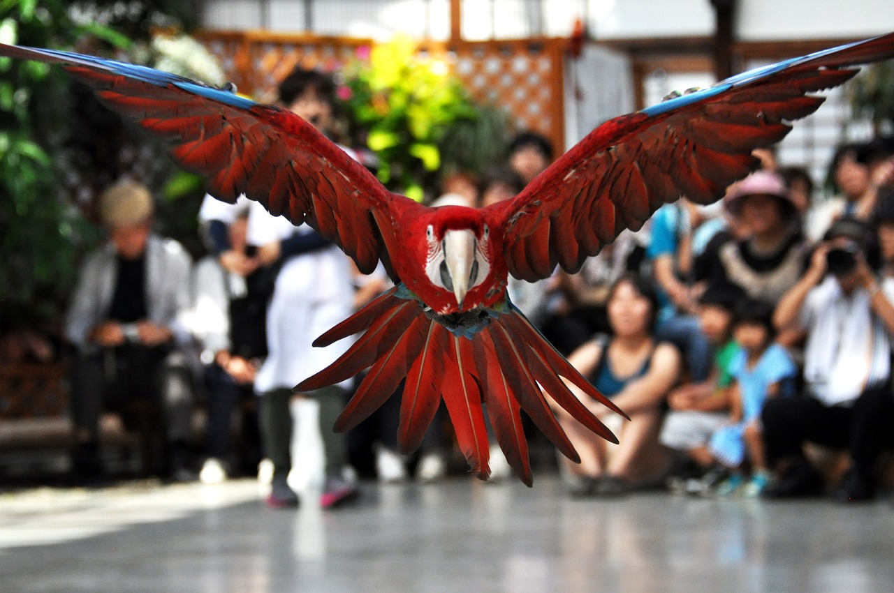 掛川花鳥園